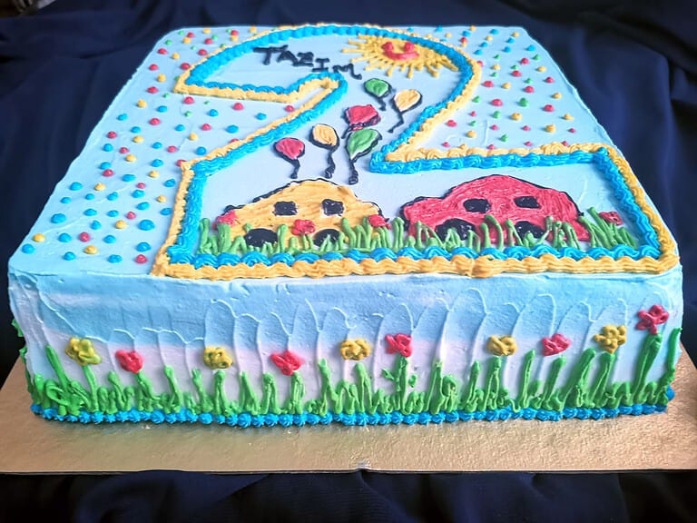 ভ্যানিলা কেক ডিজাইন ৩ — Tinnis Bakeshop — Tinnis Bakeshop